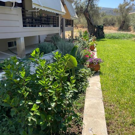 Asanis 2 Apartment Lefkada City Bagian luar foto