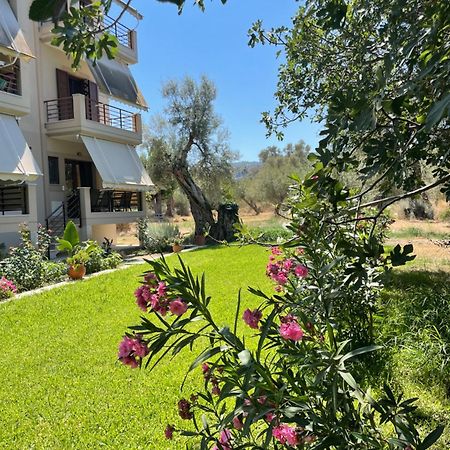 Asanis 2 Apartment Lefkada City Bagian luar foto