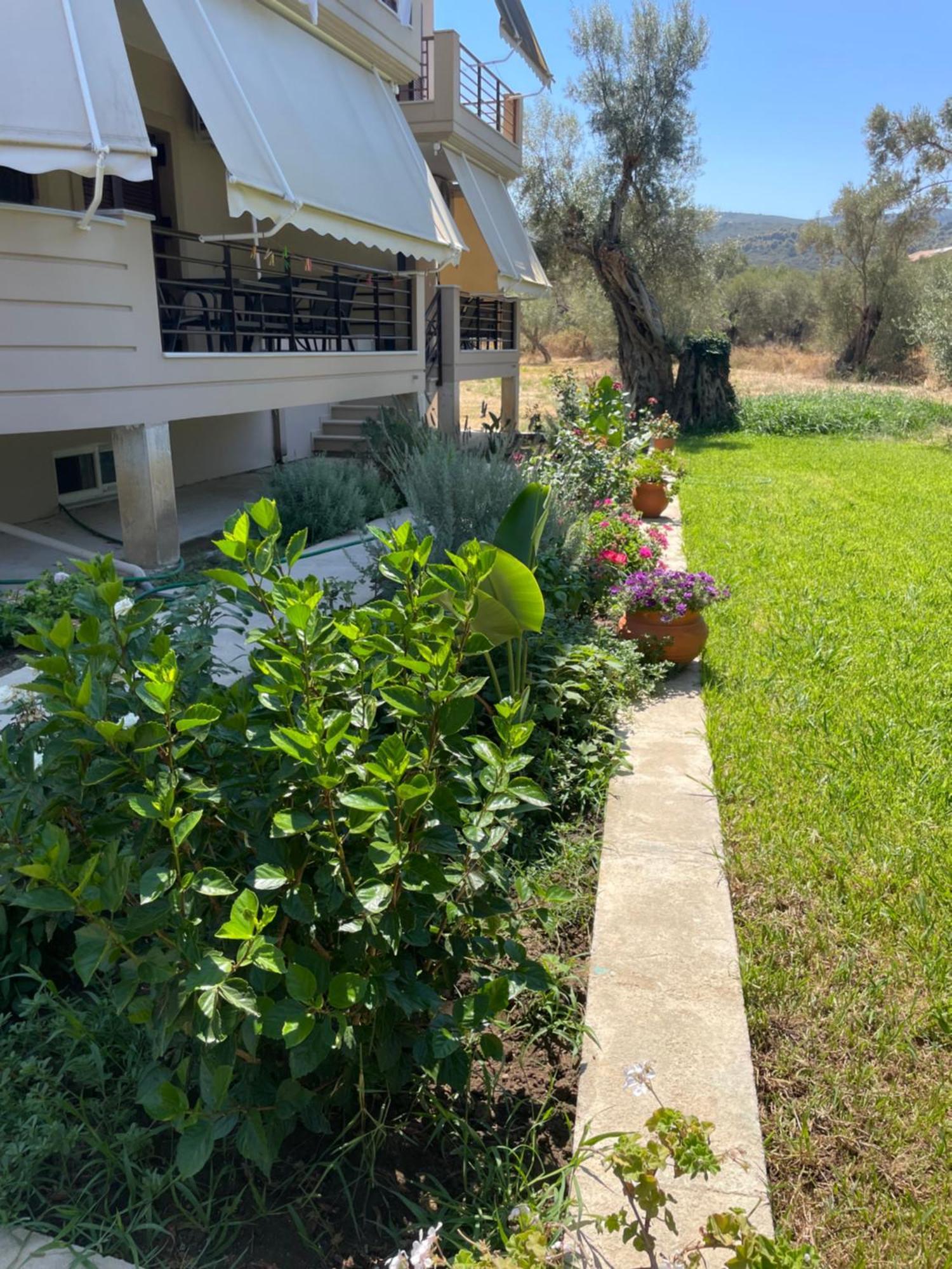 Asanis 2 Apartment Lefkada City Bagian luar foto